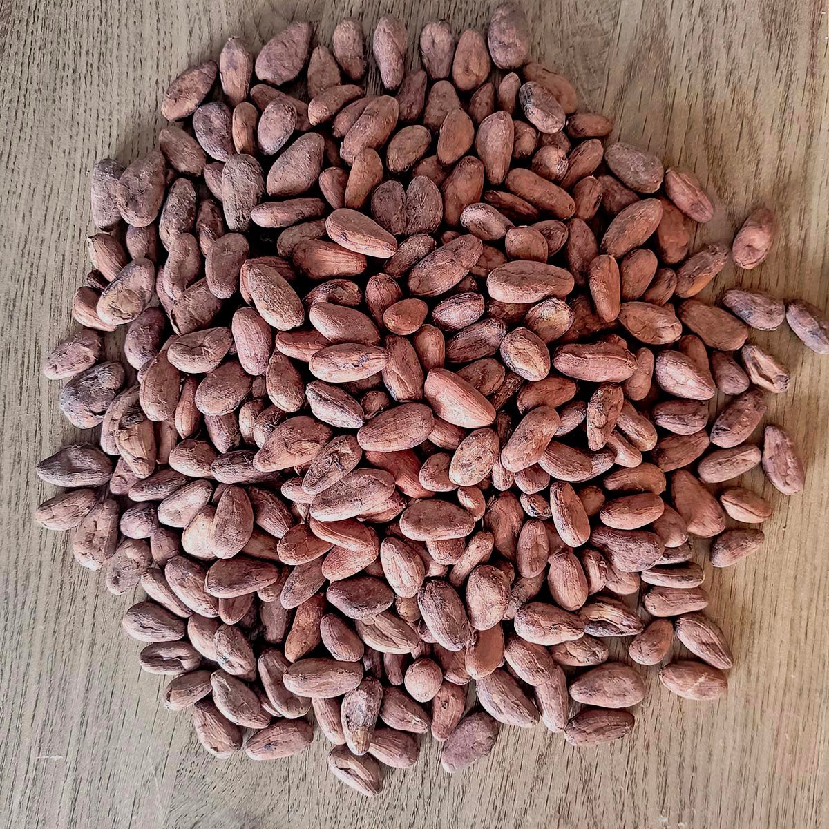 Cocoa Beans Ocumare - Image 2